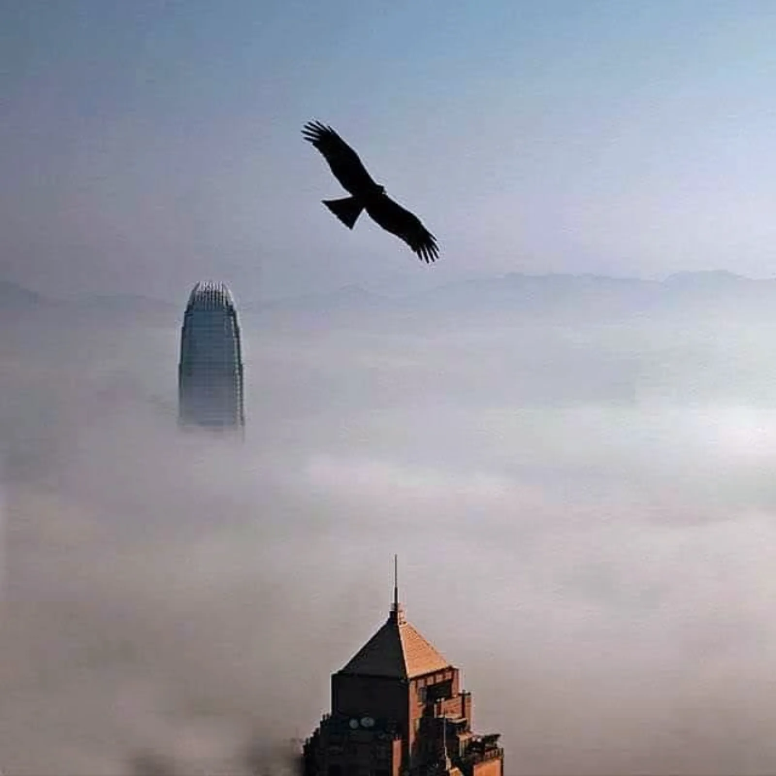 Above the Clouds by P H Yang Photography 