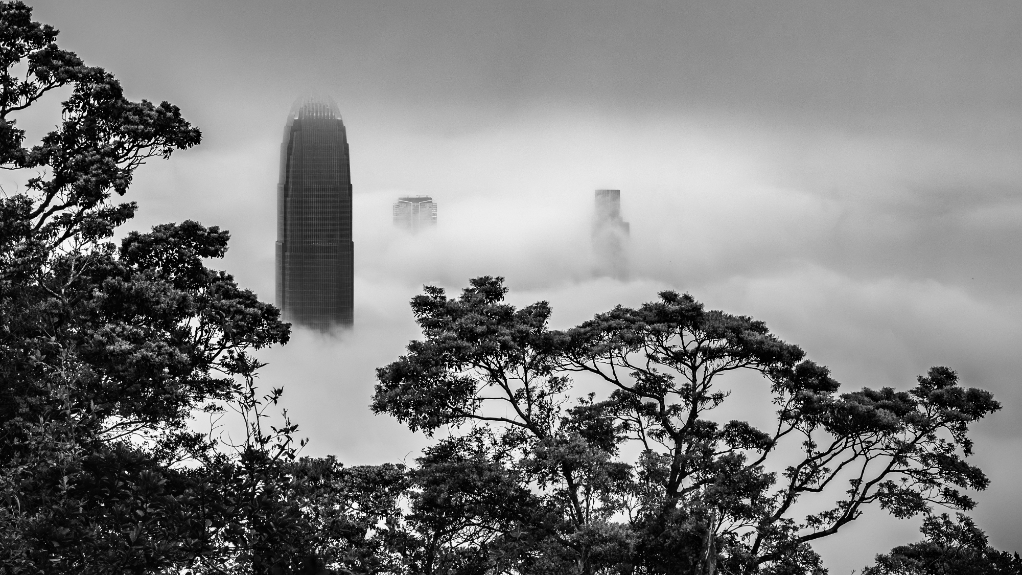 2 by Antony Laurens